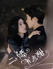 二婚有点甜（88集）最新上映的短剧