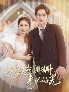 你是我姗姗来迟的光（99集）短剧太好看