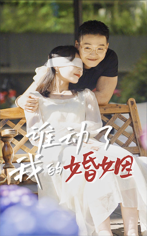 谁动了我的婚姻（24集）短剧热门合集