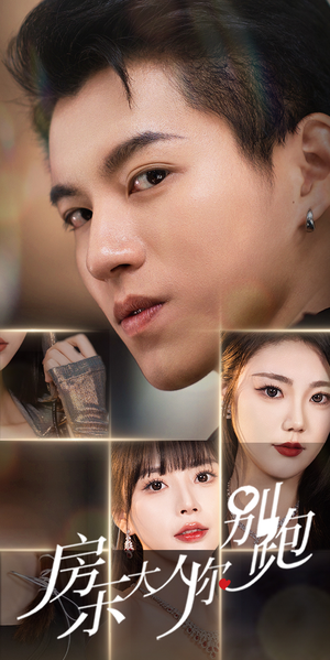 房东大人你别跑（77集）短剧全集完整