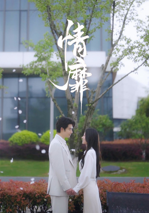 情靡（92集）热门爆款短剧