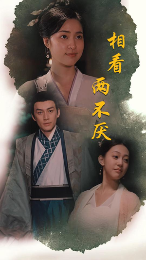 这个王妃不好惹（85集）短剧太精彩了