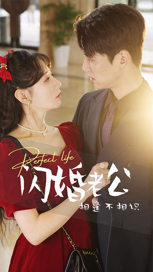 闪婚老公相逢不相识（90集）短剧太精彩了