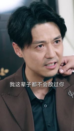 老炮纵横四海（70集）最火短剧热播