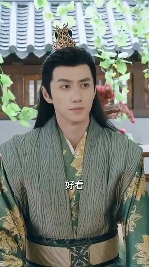 医倾天下：一品王妃要休夫（96集）深深爱上这部剧