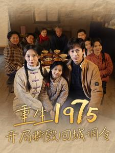 重生1975开局撕毁回城调令（83集）去哪里看