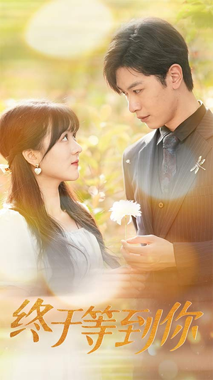 终于等到你（80集）爆火短剧追不停