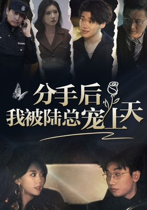 分手后，我被陆总宠上天（76集）免费短剧就是爽