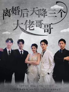 离婚后天降三个大佬哥哥（83集）热门短剧免费看