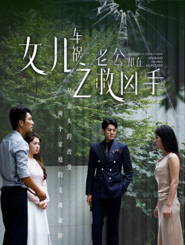 女儿车祸之老公却在救凶手（40集）高分推荐免费看