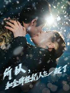 所以和金牌经纪人在一起了（30集）热门短剧抢先看