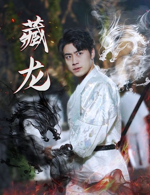 藏龙（74集）精彩短剧合集