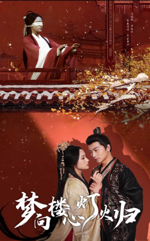 梦向楼心灯火归（37集）每日短剧追不停
