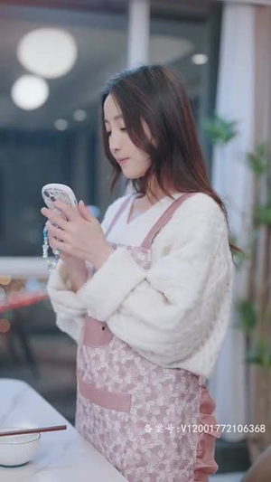 偷不走的爱与光（96集）观看软件