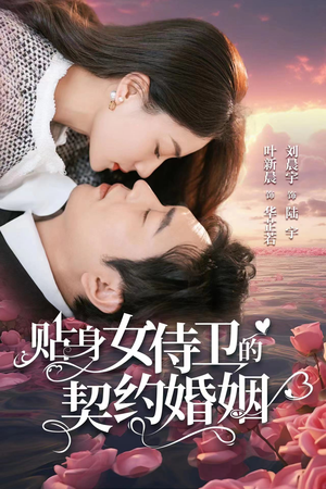 贴身女侍卫的契约婚姻（91集）短剧小说在线看