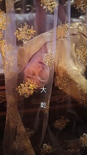 乾帝（89集）精彩短剧免费看