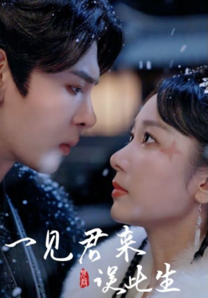 一见君来误此生（95集）好看的短剧分享