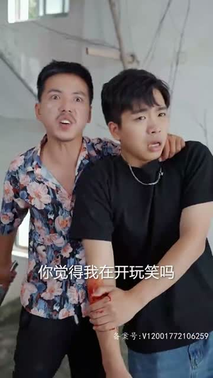 女总裁还乡又美又飒（80集）免费短剧大全