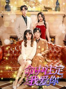 命中注定我爱你（99集）熬夜追短剧