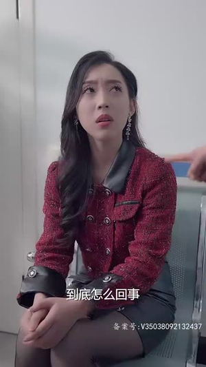 再见前夫（92集）免费看全集