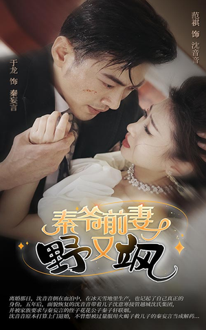 秦爷前妻野又飒（100集）一共多少集