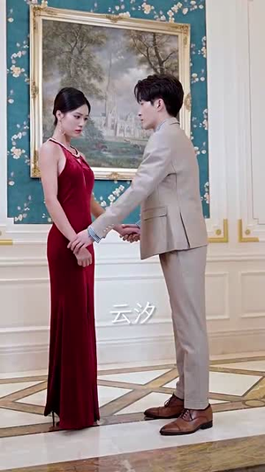 秘宠（100集）迅雷网盘观看