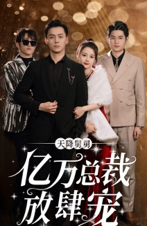 天降舅舅亿万总裁放肆宠（71集）男主角是谁