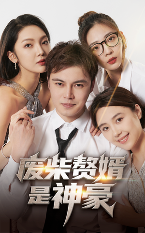 废柴赘婿是神豪（84集）无需会员免费看