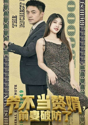 爷不当赘婿，前妻破防了（80集）抢先看热门短剧