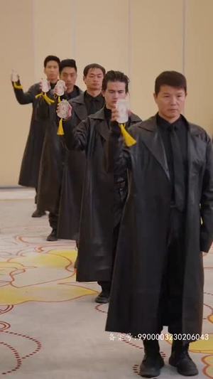 狂医圣手（80集）古代短剧推荐