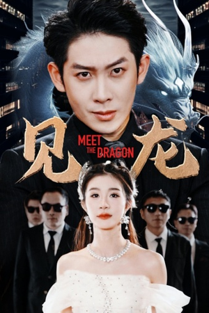 见龙（78集）好看的短剧分享