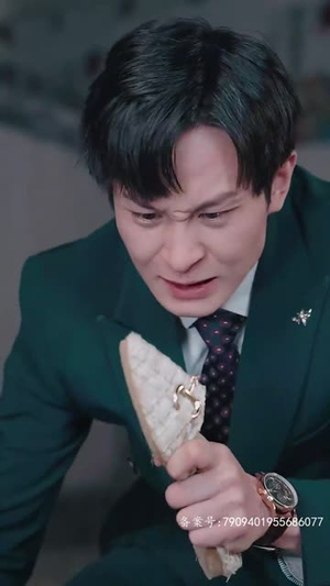 真假爱人（100集）夸克在线观看