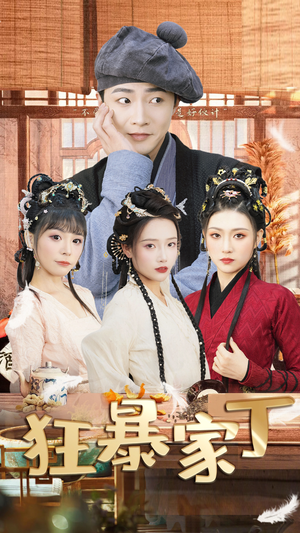 狂暴家丁$飞驰人生之超品家丁（90集）好看吗