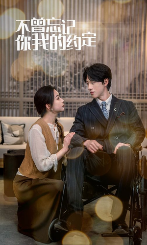 不曾忘记你我的约定（51集）网络小短剧