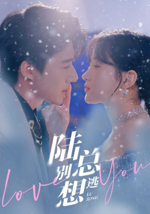 陆总别想逃（80集）红果短剧看全集