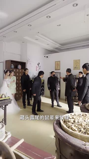 龙之子（100集）超爽短剧推荐