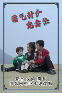 霸气封少宠妻忙（80集）精彩短剧推荐