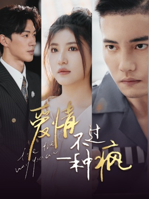 爱情不过一种疯（96集）最新热剧免费看