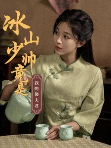 冰山少帅竟是我的傻夫君（86集）一个短剧看全集