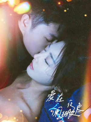 爱在夜色阑珊处（85集）热门短剧推广