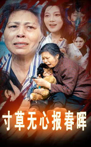 孝子慈孙（31集）真的太好看了