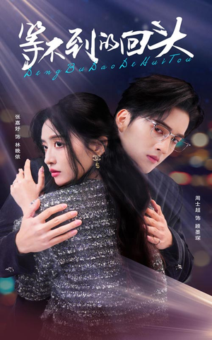 等不到的回头（35集）短剧在线观看