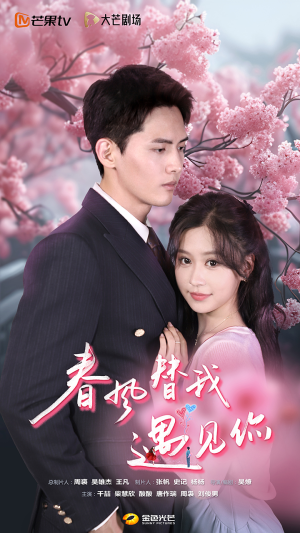 春风替我遇见你（100集）最火短剧热播