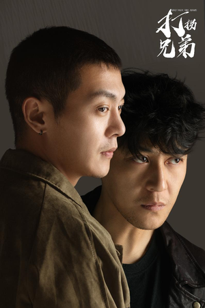 打拐兄弟（30集）夸克在线观看