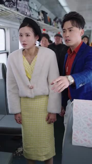 春运归途团圆年（40集）经典回顾免费看