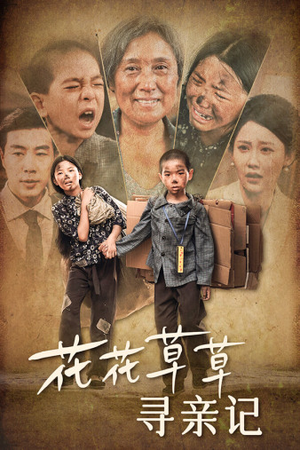 花花草草寻亲记（42集）热门短剧看不停