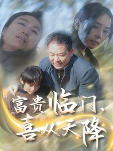 富贵临门，喜从天降（18集）好看上头的短剧