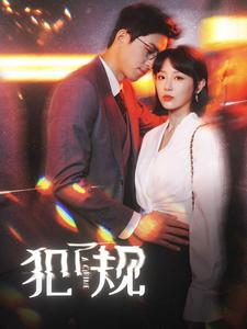 犯了规（96集）流畅播放免费看