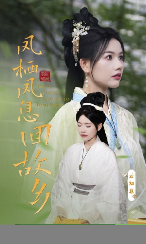 凤栖凤息回故乡（36集）第三季