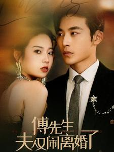 傅先生夫人又闹离婚了（80集）全季一次看完